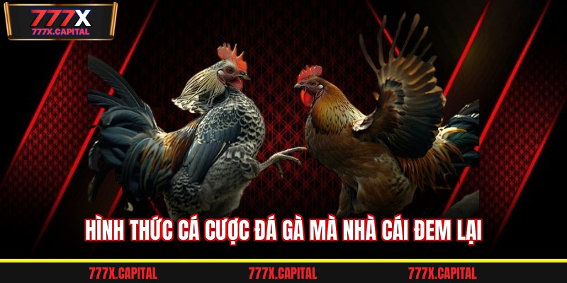 Hình thức cá cược đá gà mà nhà cái đem lại